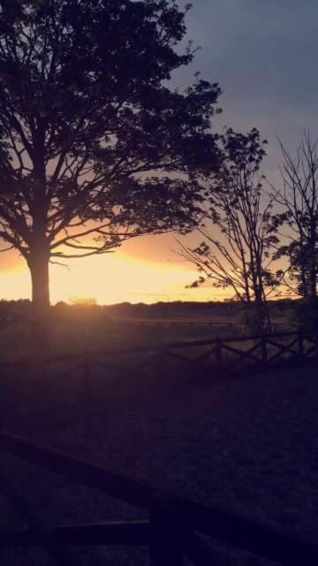 Holywell Grange Farm Villa Whitley Bay Buitenkant foto